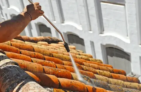 Nettoyage de toitures - Varennes-Changy